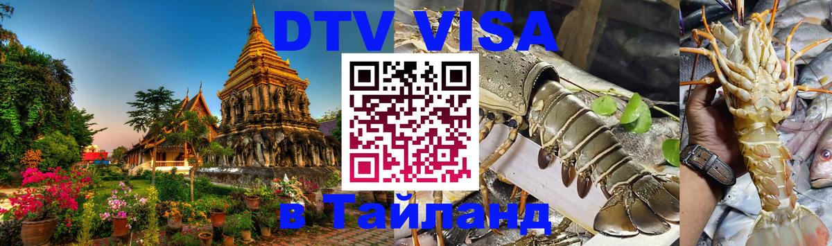 Сколько стоит DTV виза — актуальные цены, оформление даже без документов - Кишинёв  19.11.2025 